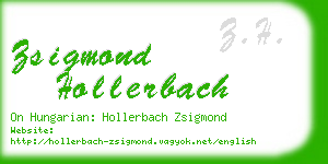 zsigmond hollerbach business card